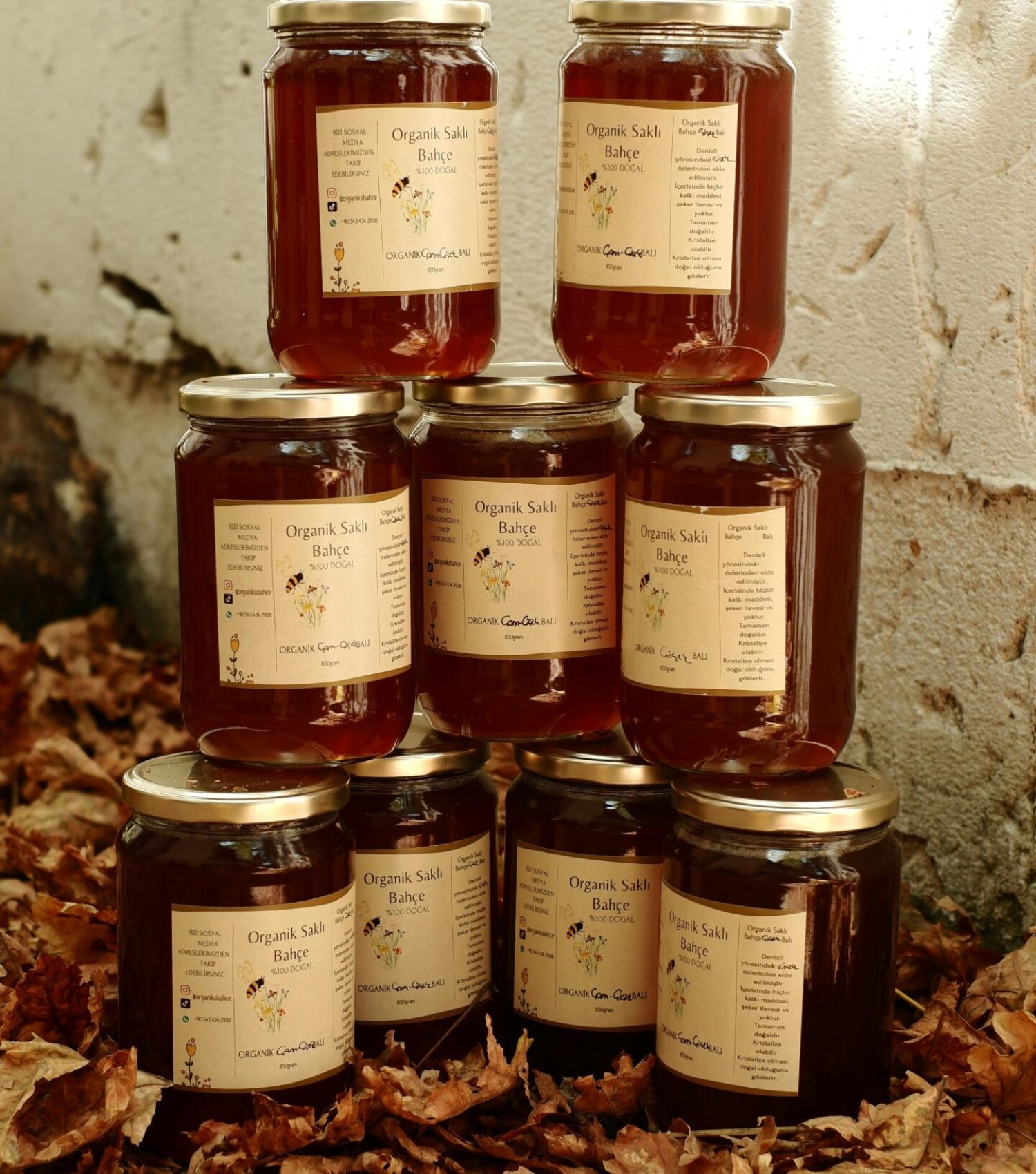 pexels-i̇rem-meriç-18231108