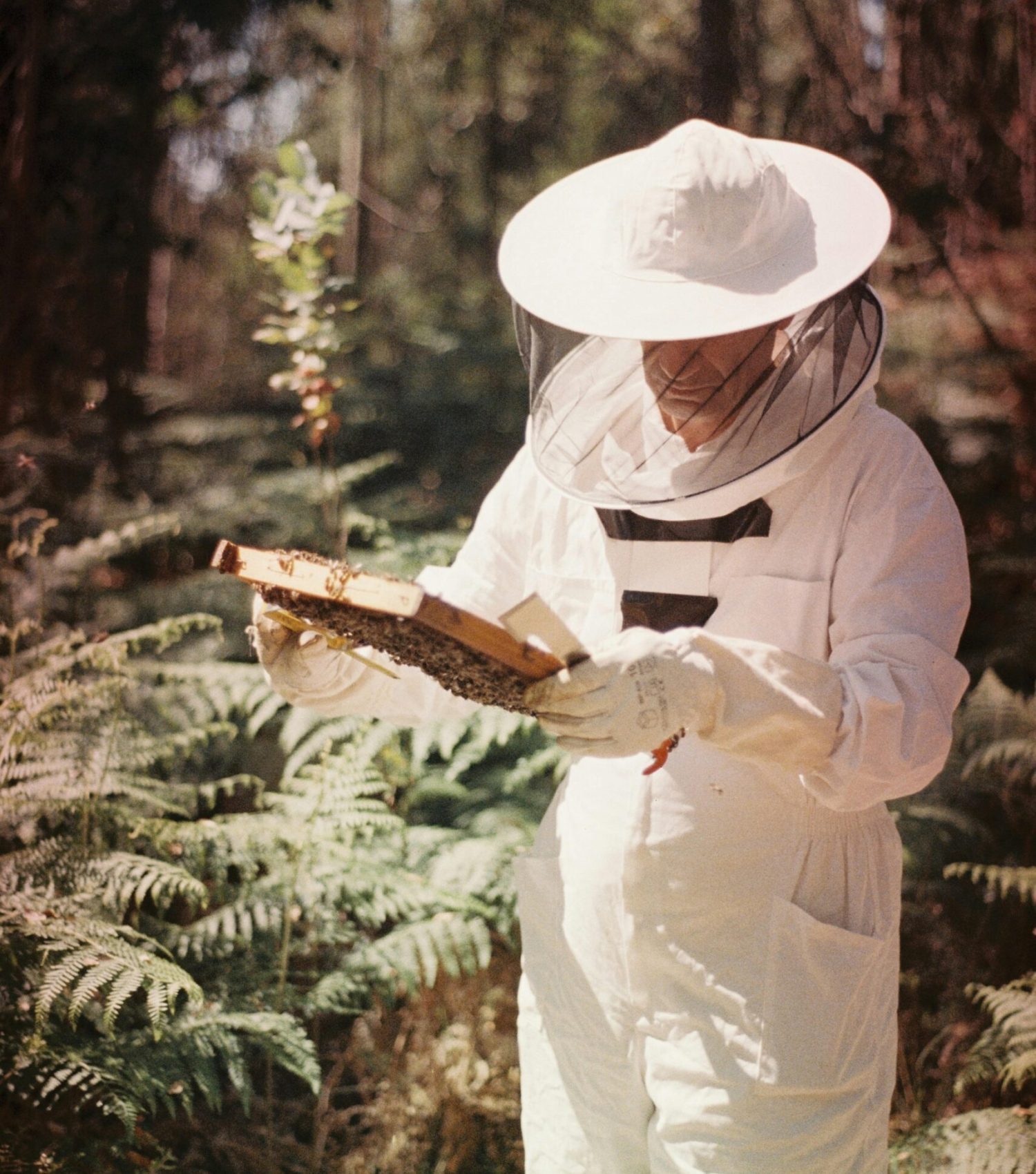 pexels-photo-17814830